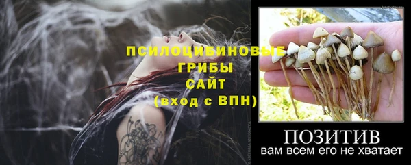 spice Алзамай