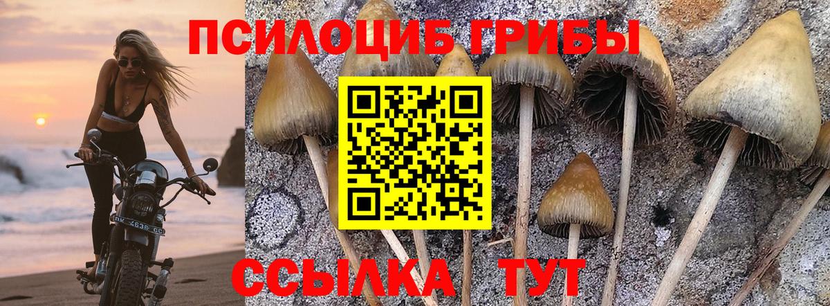 магазин продажи   Вход с VPN  Беслан  Галлюциногенные грибы MAGIC MUSHROOMS  Галлюциногенные грибы мухоморы 